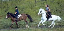 allievi del pony club in passeggiata